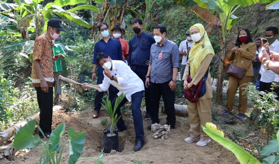 Subardi Bantu 2000 Bibit Kelapa di Kulon Progo